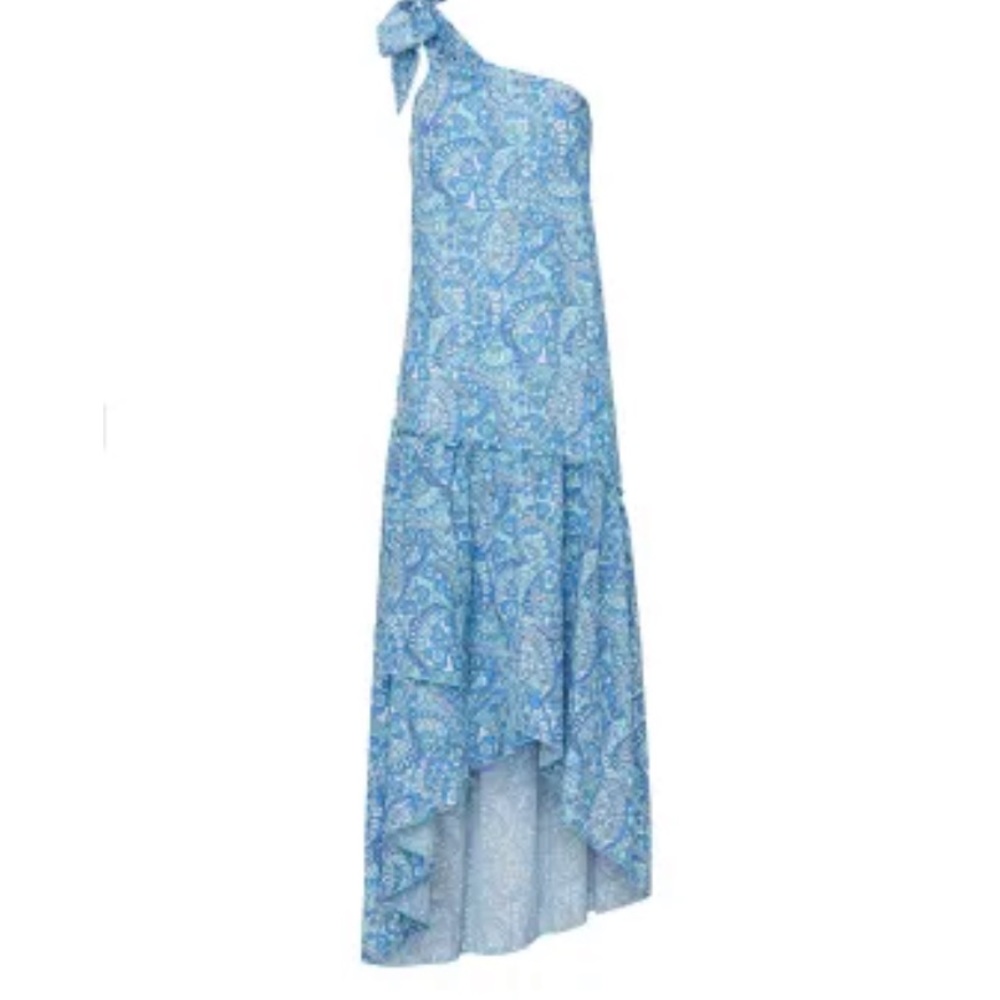 Paloma Blue blue floral maxi dress one shoulder - Picture 9 of 11